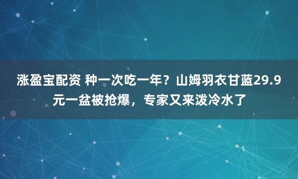 涨盈宝配资 种一次吃一年？山姆羽衣甘蓝29.9元一盆被抢爆，专家又来泼冷水了
