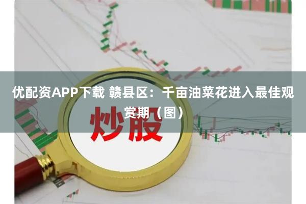 优配资APP下载 赣县区：千亩油菜花进入最佳观赏期（图）