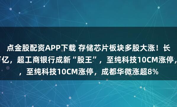 点金股配资APP下载 存储芯片板块多股大涨！长鑫科技市值3.31万亿，超工商银行成新“股王”，至纯科技10CM涨停，成都华微涨超8%